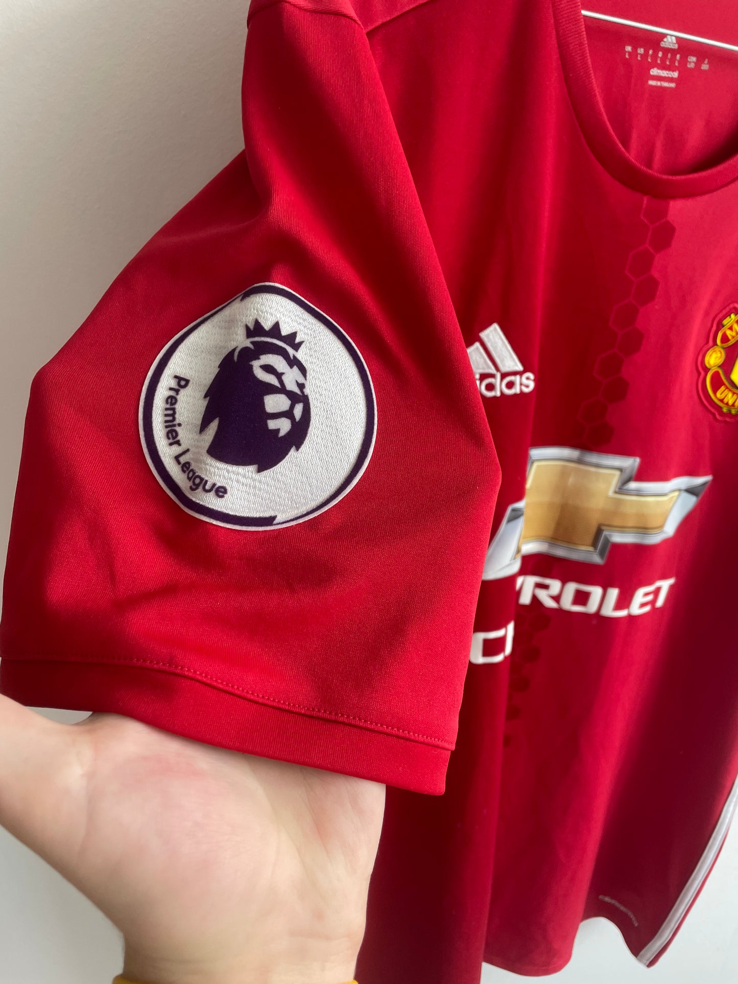 Manchester United 2016/17 - Ibrahimovic